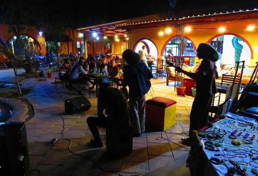 هاستل Jollyboys Backpackers