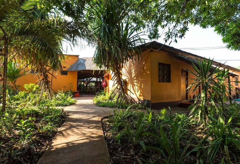 هاستل Jollyboys Backpackers