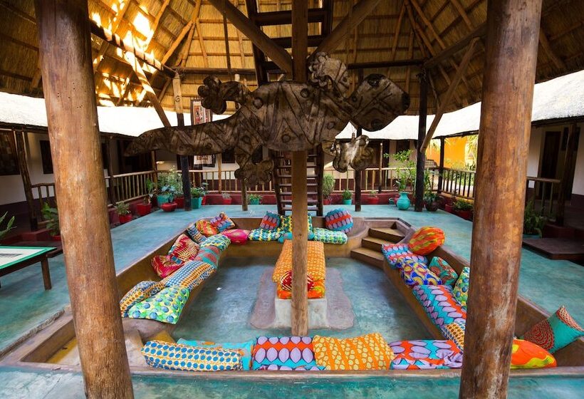 هاستل Jollyboys Backpackers