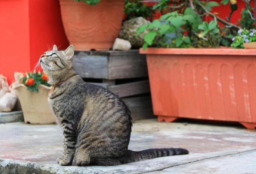 تختخواب و صبحانه Kenting Sun Light Inn