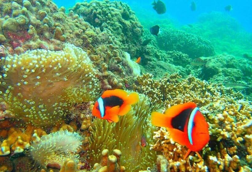 تختخواب و صبحانه Kenting Sun Light Inn