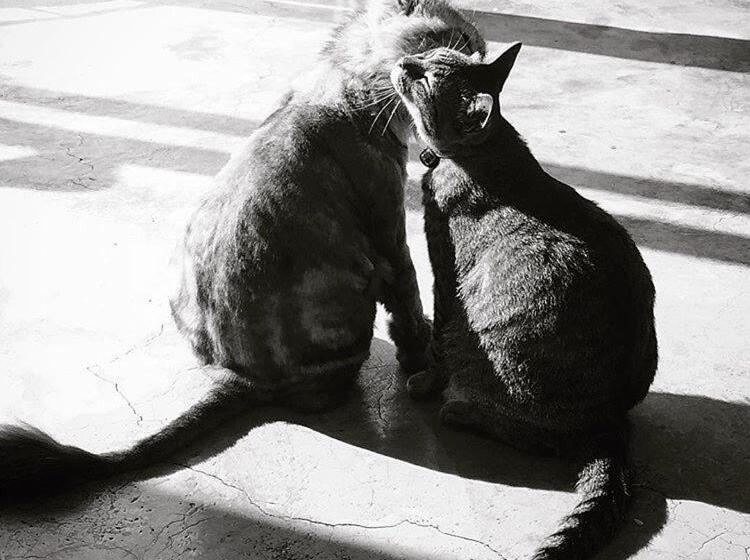 تختخواب و صبحانه Kenting Sun Light Inn