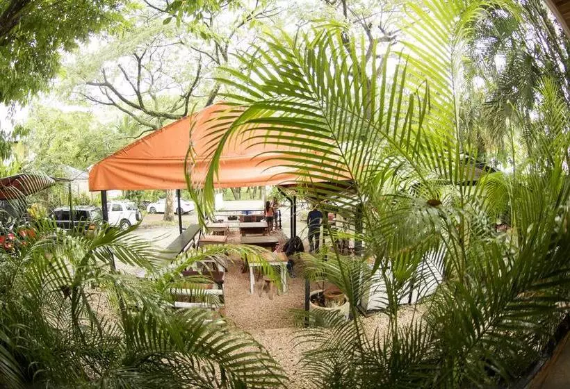 Disfrútalo Resort