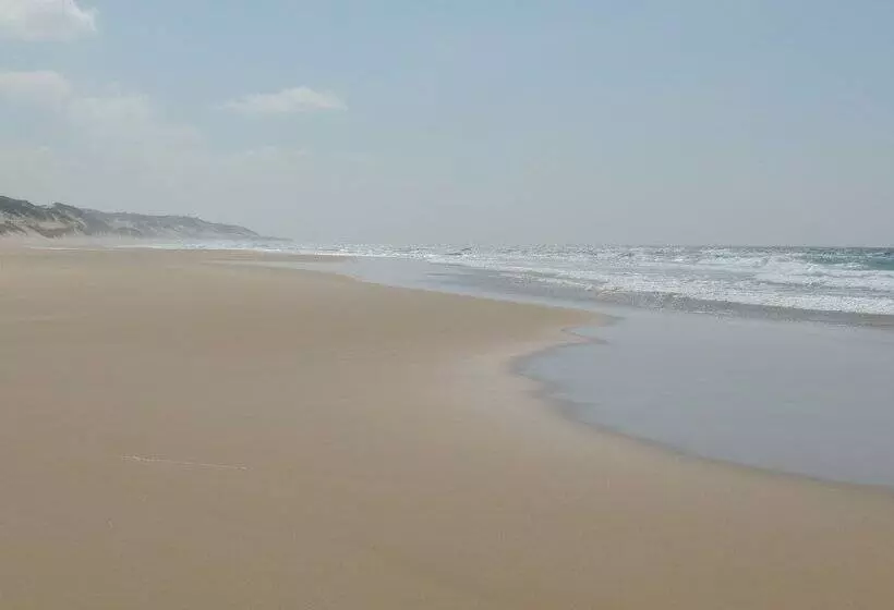 ホテル Duna Lodge