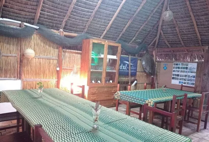 ホテル Duna Lodge