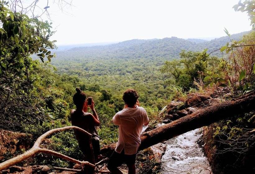 ホテル Palmento Grove Garifuna Eco Cultural & Healing Institute