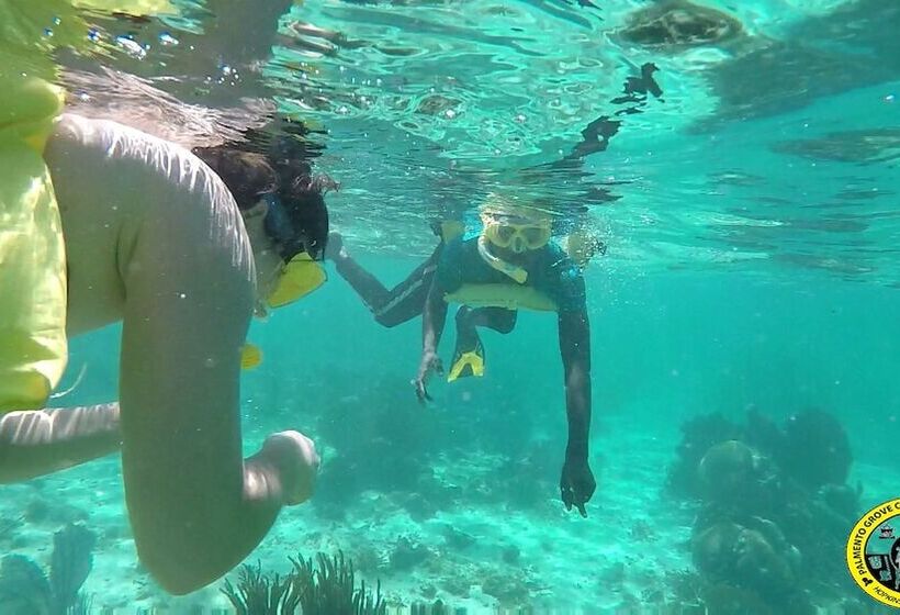 ホテル Palmento Grove Garifuna Eco Cultural & Healing Institute