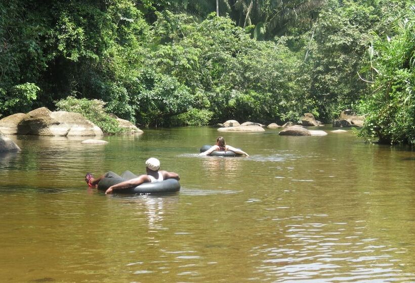 ホテル Palmento Grove Garifuna Eco Cultural & Healing Institute