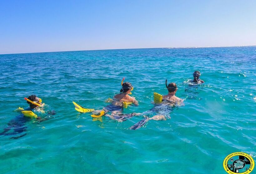 ホテル Palmento Grove Garifuna Eco Cultural & Healing Institute