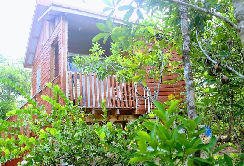 ホテル Palmento Grove Garifuna Eco Cultural & Healing Institute