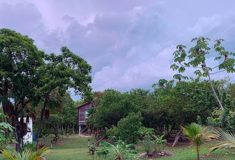 ホテル Palmento Grove Garifuna Eco Cultural & Healing Institute