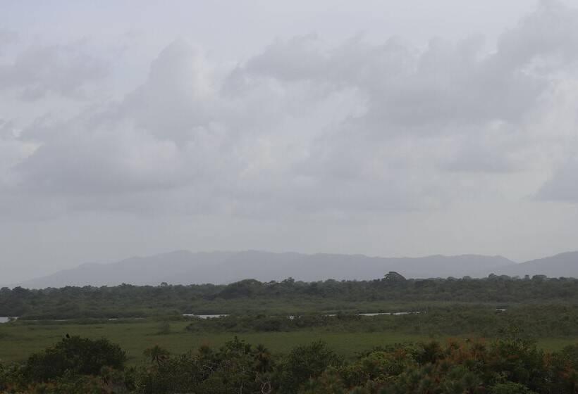 ホテル Palmento Grove Garifuna Eco Cultural & Healing Institute