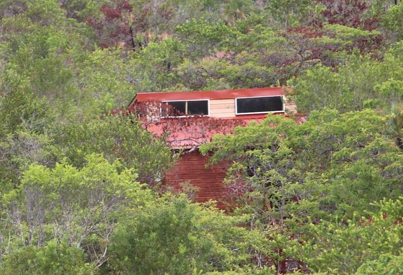 ホテル Palmento Grove Garifuna Eco Cultural & Healing Institute