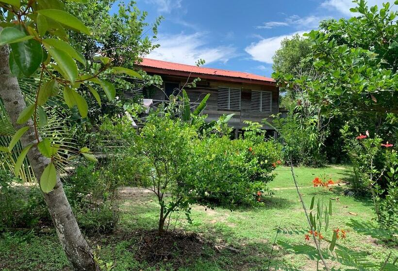 ホテル Palmento Grove Garifuna Eco Cultural & Healing Institute