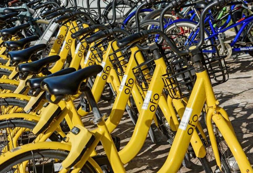 هتل The Oasis At Grace Bay