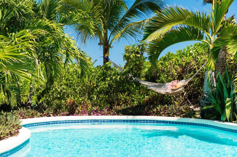 هتل The Oasis At Grace Bay