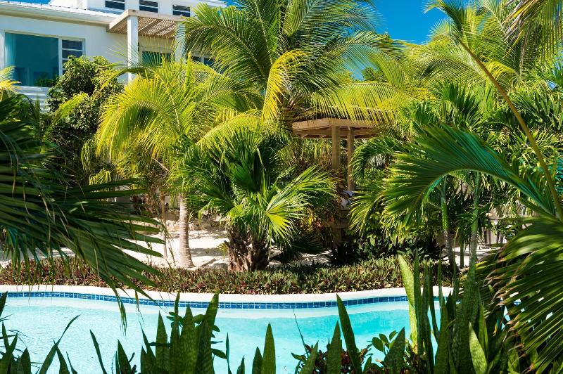 هتل The Oasis At Grace Bay