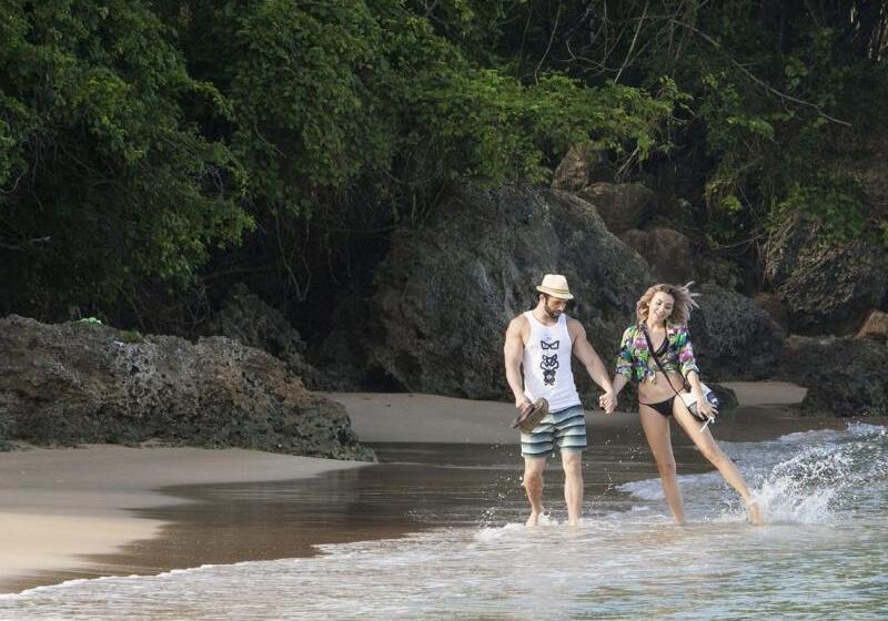 Mount Irvine Bay Resort