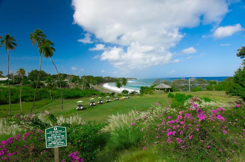 Mount Irvine Bay Resort