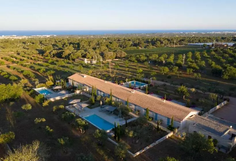 Sa Nau Agroturismo   Adults Only
