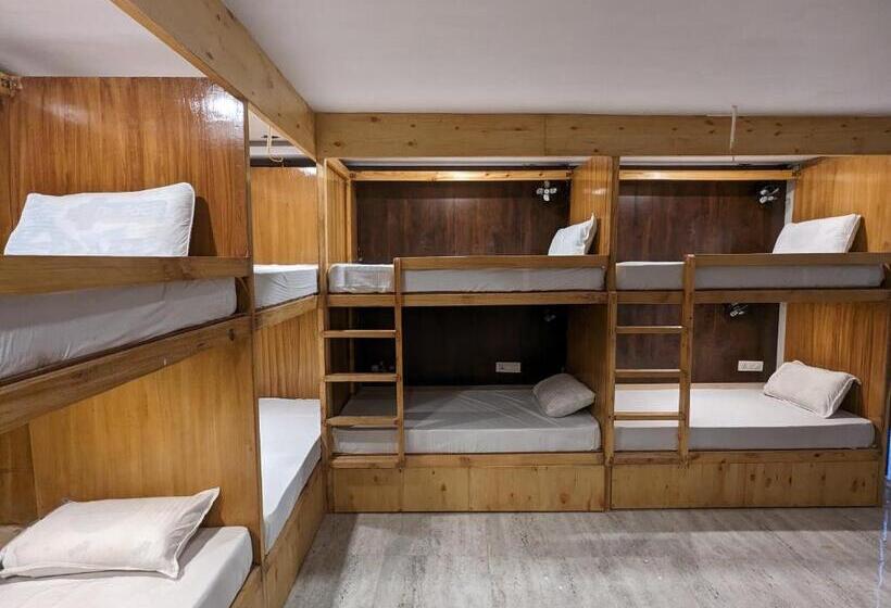 Albergue Hog   House Of Gypsy