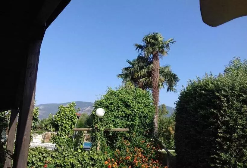 ベッドアンドブレックファースト Agriturismo Podere Novo