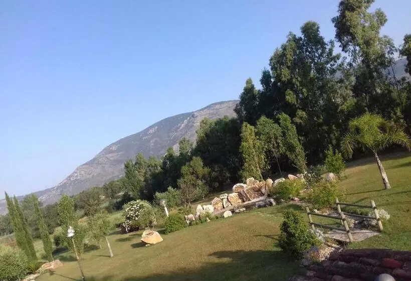 ベッドアンドブレックファースト Agriturismo Podere Novo