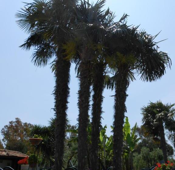 مبيت وإفطار Agriturismo Podere Novo