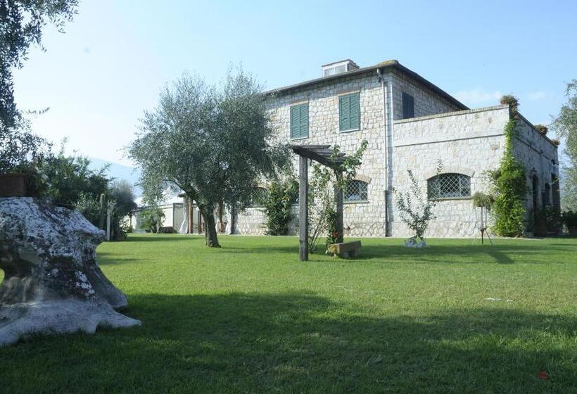 مبيت وإفطار Agriturismo Podere Novo