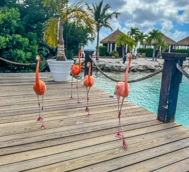 پانسیون Room In Apartment Nice Apartament In Aruba