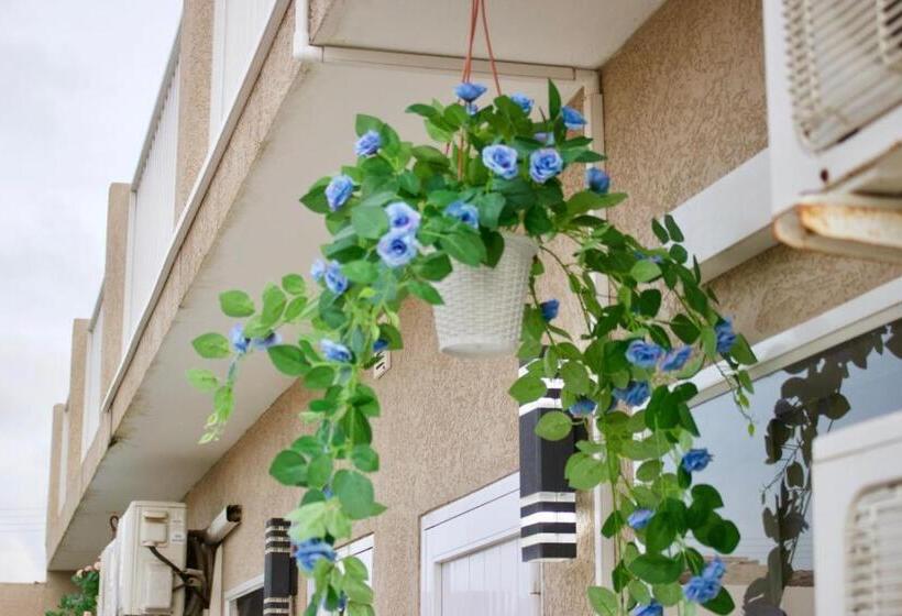 پانسیون Room In Apartment Nice Apartament In Aruba