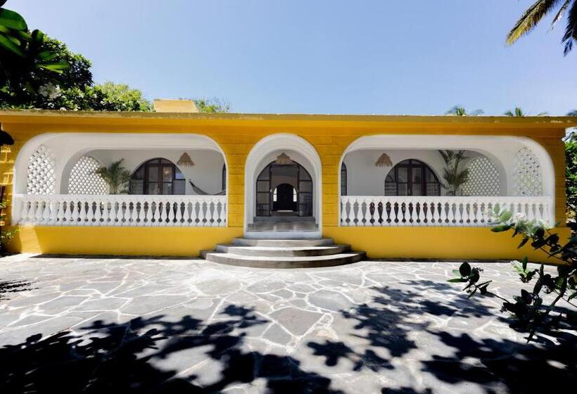 هتل Coconut Beach Boutique   Apasio Lodges