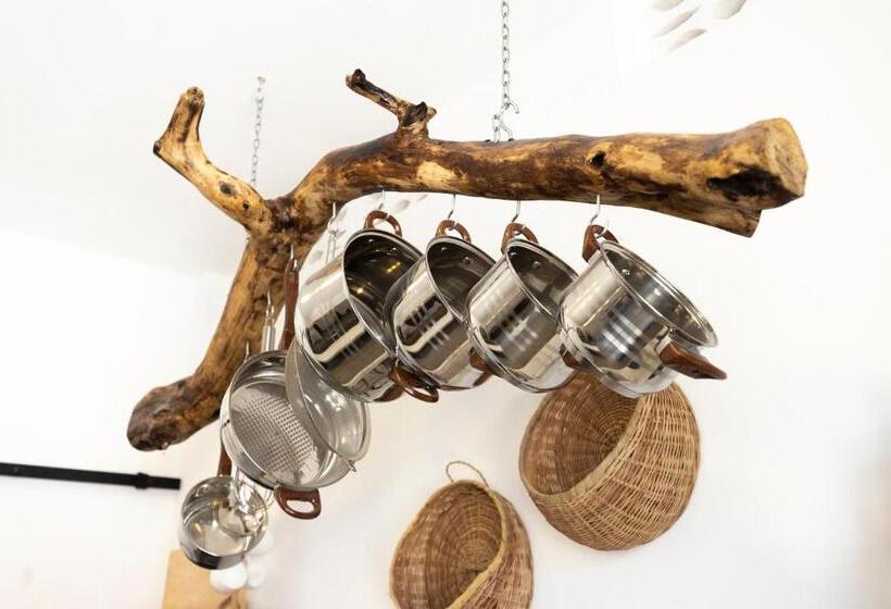 هتل Coconut Beach Boutique   Apasio Lodges