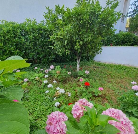 پانسیون S.e.a. Guesthouse