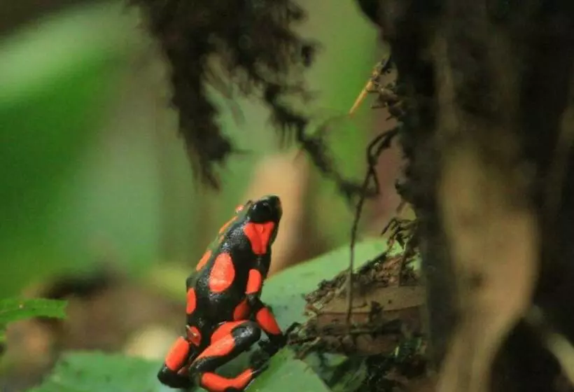 ユースホステル La Aldea Del Primitivo