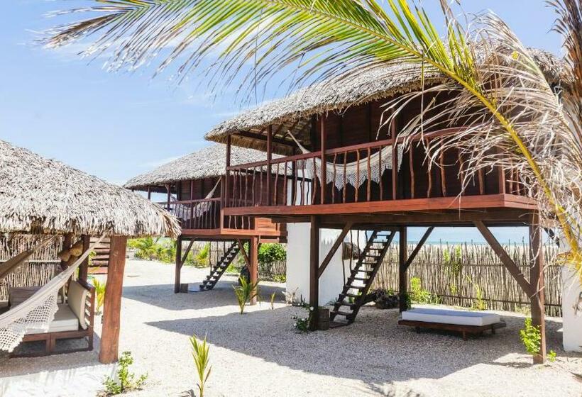 هاستل Vila Ascensão Pousada, Passeios, Eventos E Kite