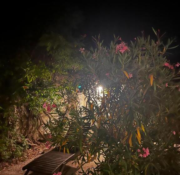 פנסיון Chambre D Hôtes Dallara