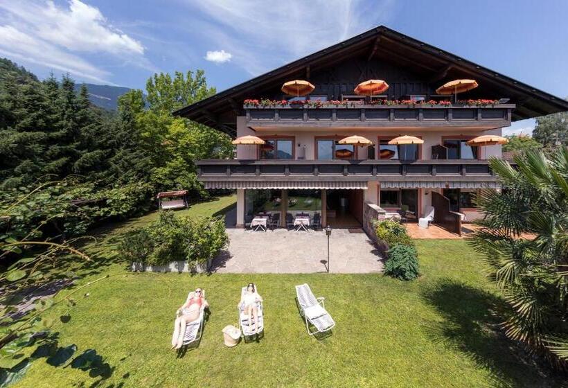 Пансион Feyerlin Rooms