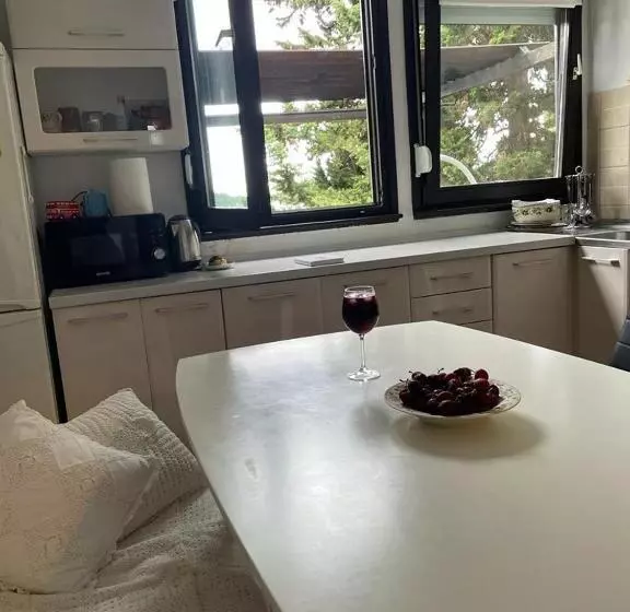پانسیون Guest House Anna