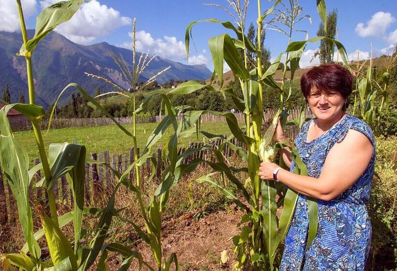 پانسیون Hanmer Guest House