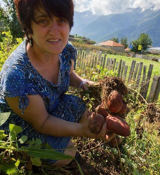پانسیون Hanmer Guest House