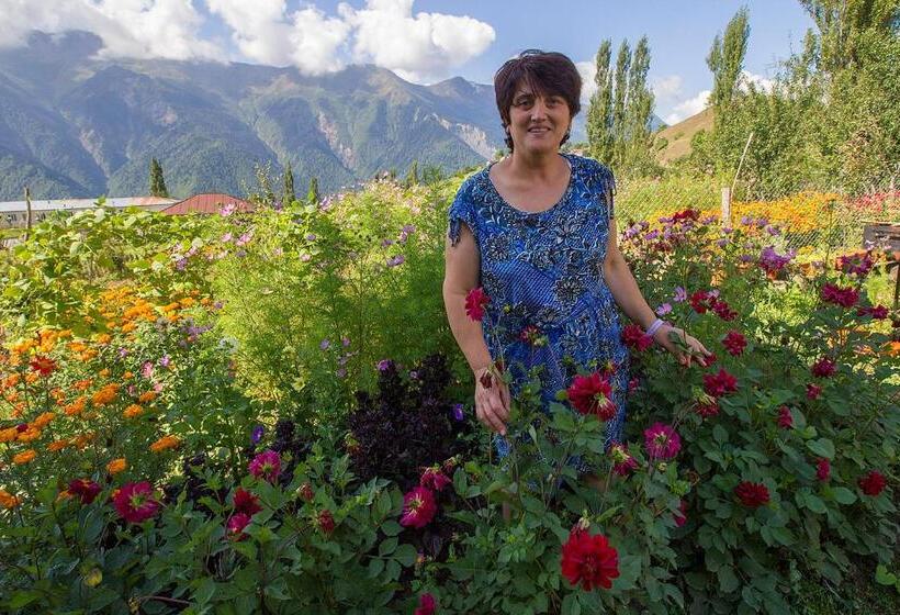 پانسیون Hanmer Guest House