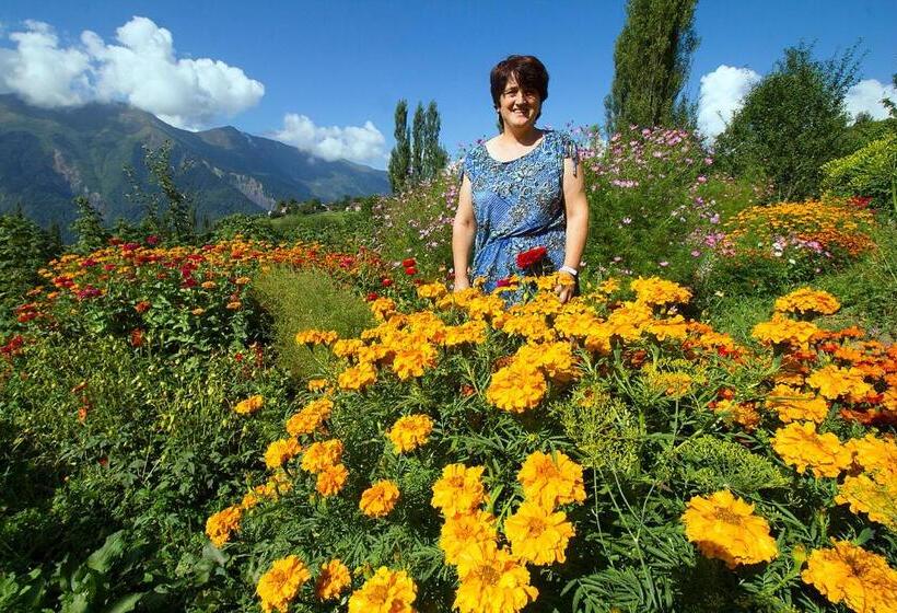 پانسیون Hanmer Guest House