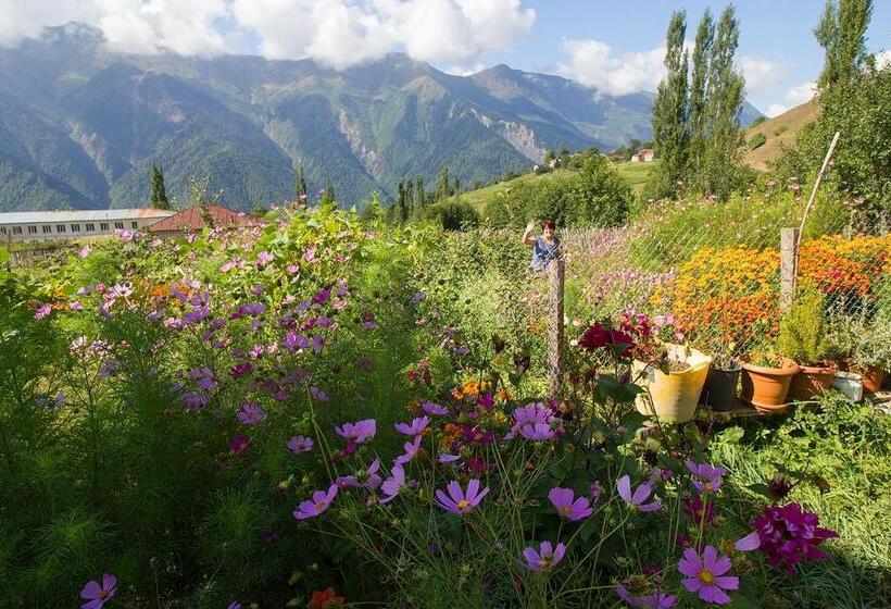 پانسیون Hanmer Guest House