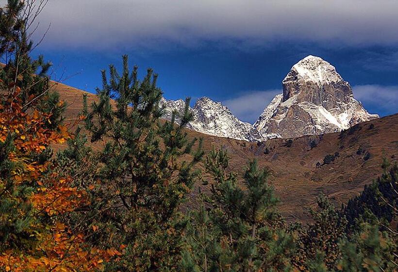 پانسیون Hanmer Guest House