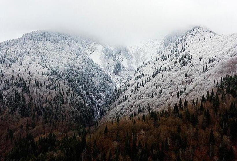 پانسیون Hanmer Guest House