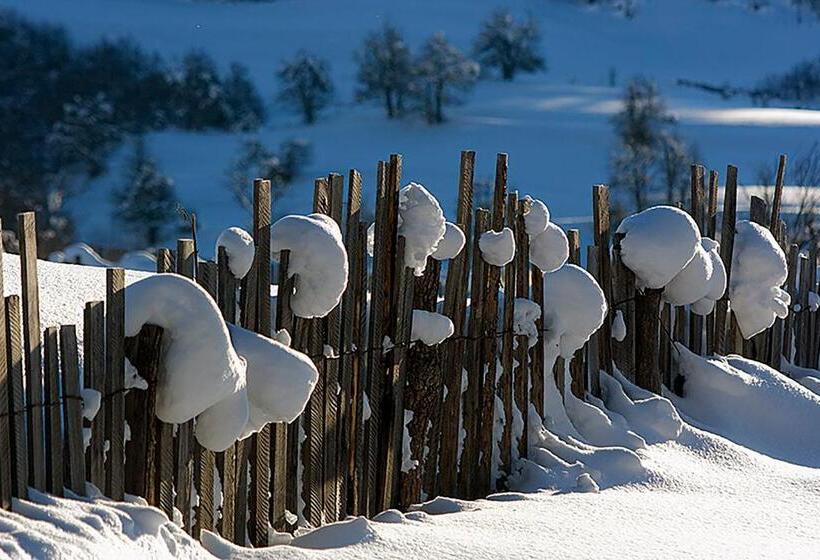 پانسیون Hanmer Guest House