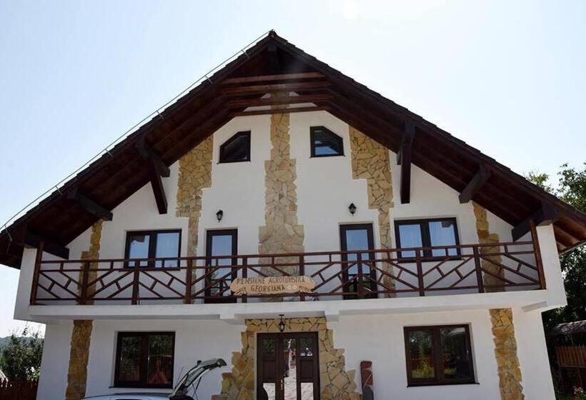 Pensiunea Georgiana