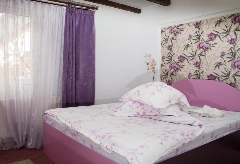 Pensiunea Ianis Moieciu