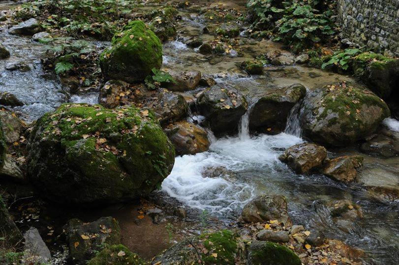 Historic Boutique Hotel Maccarunera